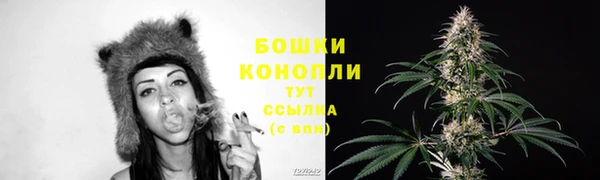 дмт Каменногорск