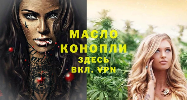 2c-b Каменка