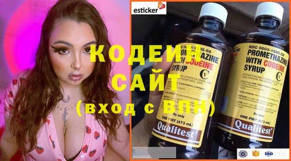 2c-b Каменка
