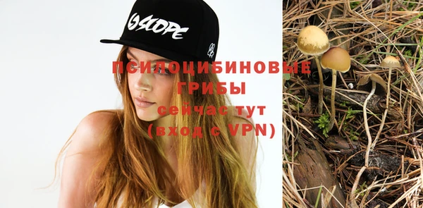 не бодяженный Каменск-Шахтинский
