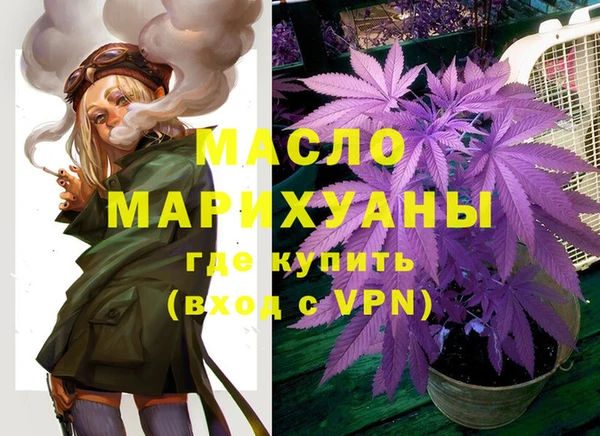 дмт Каменногорск