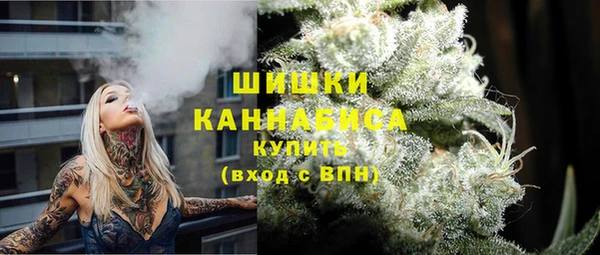 2c-b Каменка