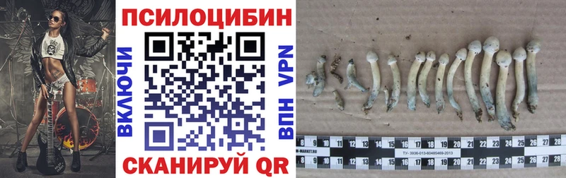 Галлюциногенные грибы прущие грибы  Купить  Верхний Тагил 